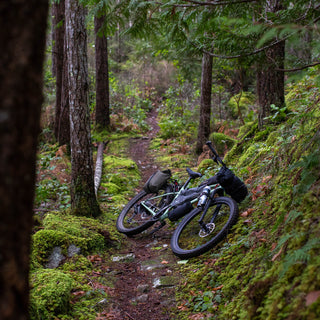Vélo de montagne - Panorama Cycles