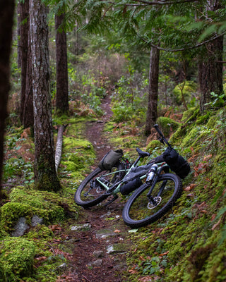 Vélo de montagne - Panorama Cycles